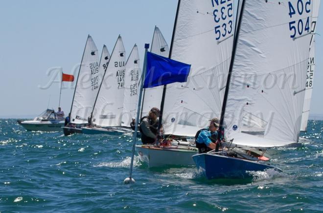 Worlds pre-regatta - 2014 OK Dinghy World Championship Melbourne. ©  Alex McKinnon Photography http://www.alexmckinnonphotography.com