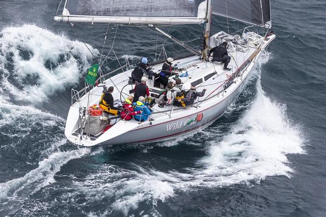 Roger Hickman's Wild Rose (AUS), overall winner of the 70th Rolex Sydney Hobart. ©  Rolex / Carlo Borlenghi http://www.carloborlenghi.net