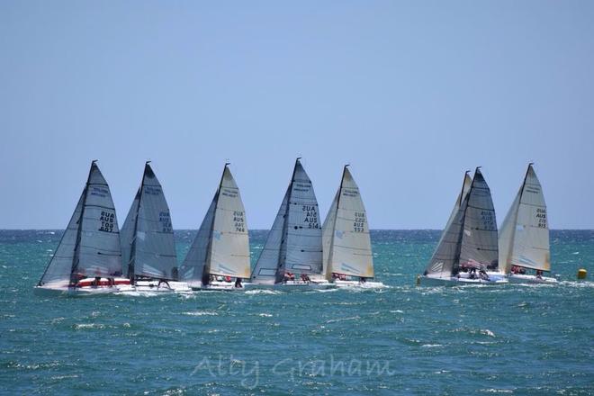 Melges 24 Christmas Sprint Series © Ally Graham