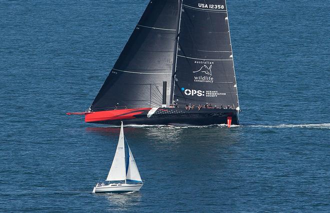 Big and small © Crosbie Lorimer http://www.crosbielorimer.com