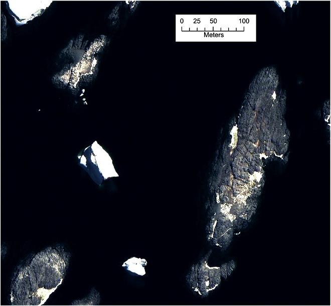 Quickbird VHR imagery from the 31st of January 2010 of three islands in the Faure archipelago. Pink areas indicate guano stains. Our analysis highlighted that this island group potentially holds major seabird colonies - Seabird poo has unique spectral signature visible from satellite images. © British Antarctic Survey / Elsevier B.V.