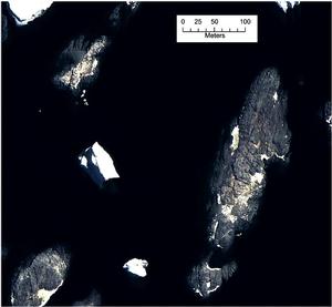 Quickbird VHR imagery from the 31st of January 2010 of three islands in the Faure archipelago. Pink areas indicate guano stains. Our analysis highlighted that this island group potentially holds major seabird colonies - Seabird poo has unique spectral signature visible from satellite images. photo copyright British Antarctic Survey / Elsevier B.V. taken at  and featuring the  class