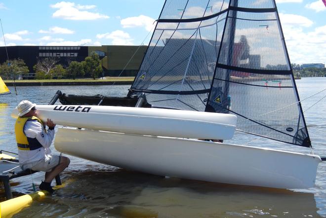 Getting a helping hand to try and capsize - Weta Regatta, February 2014, Canberra, Australia © Miranda Powrie