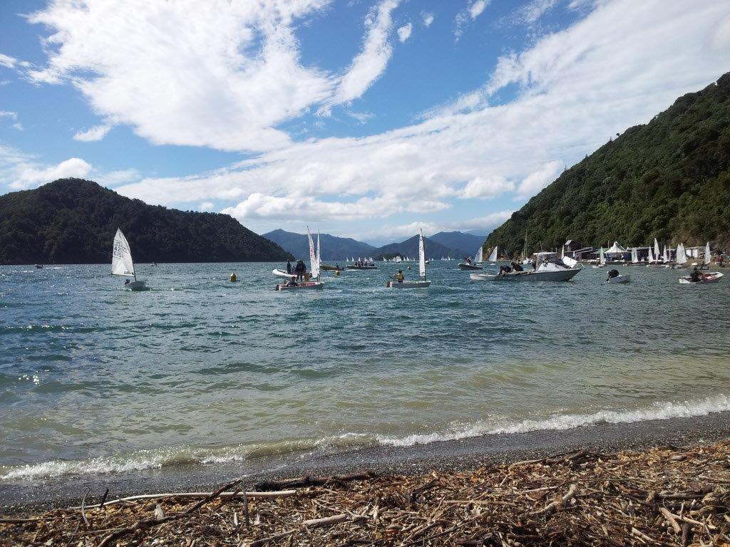 Inter Islander Regatta 2014 - Starlings and Optimists © Christel Hopkins