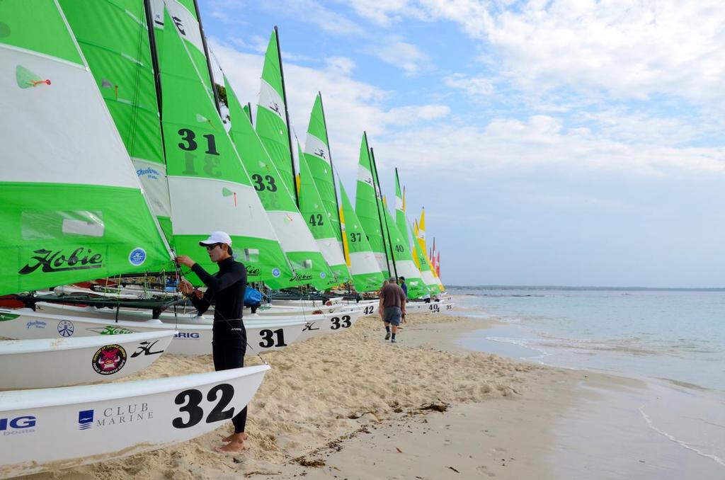 DSC 0992 - Hobie 16 World Championships Jervis Bay NSW © Linda Renouf