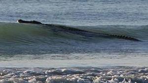 Croc in a wave - 'He's a big boy' - photo by Sharon Scoble photo copyright  SW taken at  and featuring the  class