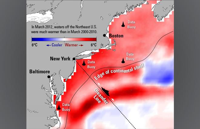 Ocean ’heat wave’ linked to shift in atmospheric current - Jet stream gets fish in hot water © Woods Hole Oceanographic Institution (WHOI) http://www.whoi.edu/