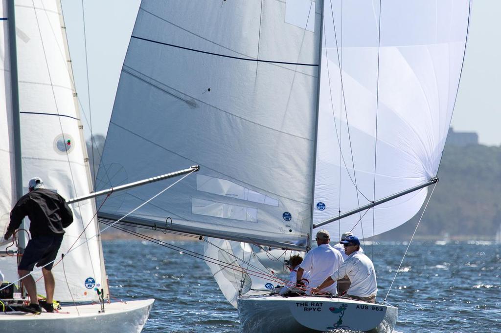 Winning form from The Rat, seen here under spinnaker. - 2014 Etchells WA Championship © Kylie Wilson Positive Image - copyright http://www.positiveimage.com.au/etchells
