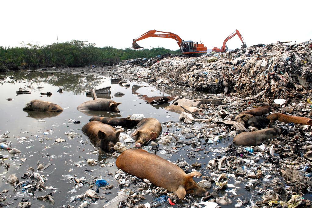 Landfill being reclaimed photo copyright Secretaria de Estado do Ambiente do Rio http://www.rj.gov.br taken at  and featuring the  class