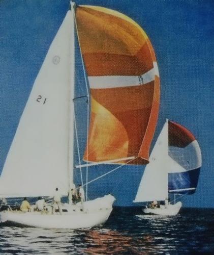 The Cal 40s ruled ... for a time - 2014 Congressional Cup © Rich Roberts