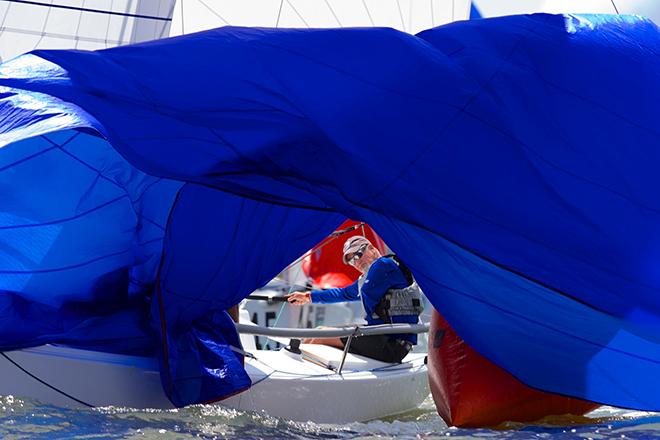 Perfectly framed by the collapsing spinnaker this J/70 helmsman stays focused on the course while his team brings in the laundry.  © Meredith Block/ Charleston Race Week http://www.charlestonraceweek.com/