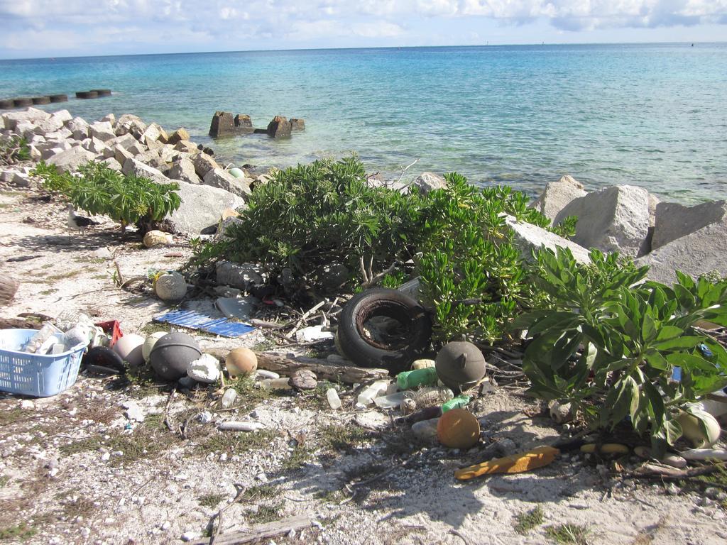 Rubbish creates its own plastisphere photo copyright SW taken at  and featuring the  class