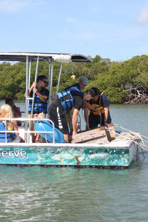 Students Pulling the Nets © Renee Wilson