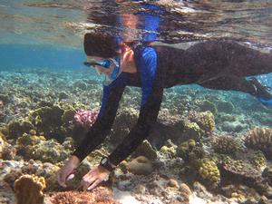 Rachael Bay puts an identification tag next to a coral colony so that researchers can find the same colony later photo copyright Steve Palumbi taken at  and featuring the  class