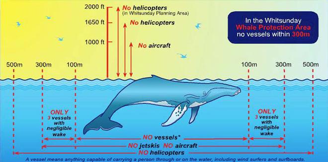 By following these practices when you’re in the vicinity of whales you’re playing a big part in their conservation. - Whale season May-September © Great Barrier Reef Marine Park Authority http://www.gbrmpa.gov.au/