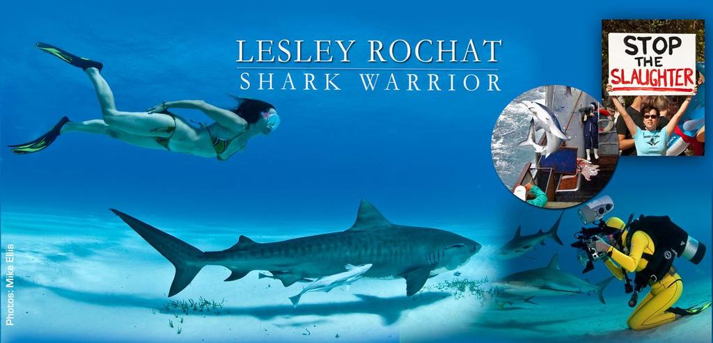 Lesley-poster-banner- © SW