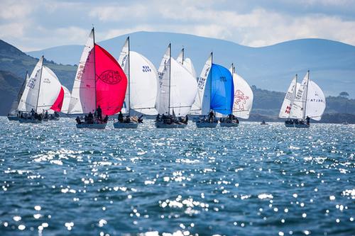The J/24 Worlds 2013 at Howth set the bar for this special event.  © David Branigan