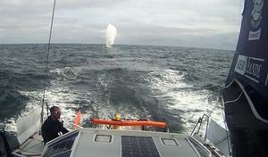 2014 Normandy Channel Race photo copyright Normandy Channel Race taken at  and featuring the  class