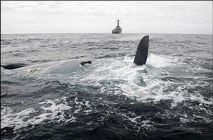 Cheeki Rafiki - keel missing photo copyright US Navy taken at  and featuring the  class