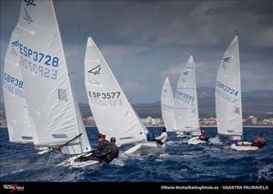 2014 Gaastra PalmaVela - Flying Fifteen fleet downwind photo copyright Maria Muina taken at  and featuring the  class