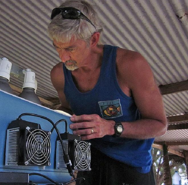 Steve Palumbi stresses coral in special tanks to identify species with the best heat resistance. © Stanford University, Stanford