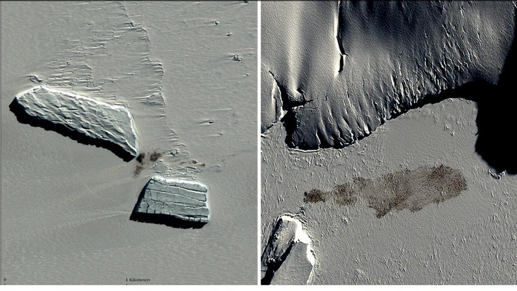 Satellite images of penguins. © Michelle LaRue, Unversity of Minnesota