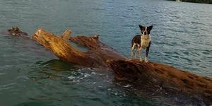 H Shipwrecked but floating photo copyright  SW taken at  and featuring the  class