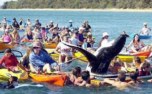 Whale Paddle out for Whale Day, Torquay, June 07 photo copyright  SW taken at  and featuring the  class