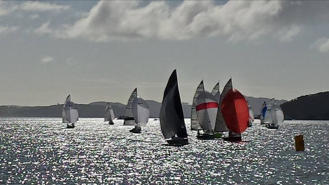 Leeward mark - 2014 E5.9 Traveler Series - Opua Regatta © Julie Kidman