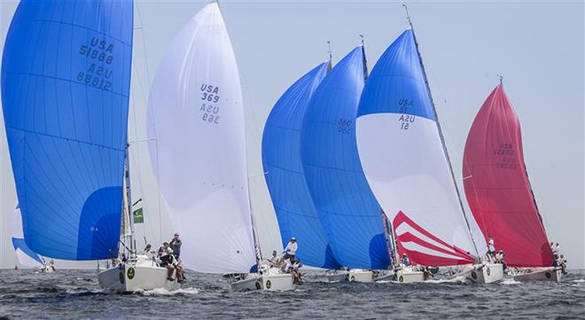 J/109 Fleet racing downwind ©  Rolex/Daniel Forster http://www.regattanews.com