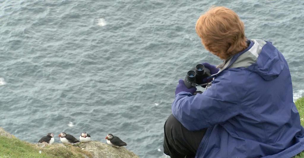 Northern Scotland Voyage to Orkney and Shetland Isles - Puffins photo copyright Paul and Sheryl Shard http://www.distantshores.ca/ taken at  and featuring the  class