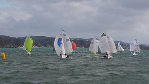 10485211 897134890314640 9123445516429868922 n - 2014 E5.9 Traveler Series - Opua Regatta photo copyright Julie Kidman taken at  and featuring the  class
