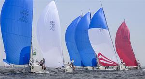 J/109 Fleet racing downwind photo copyright  Rolex/Daniel Forster http://www.regattanews.com taken at  and featuring the  class