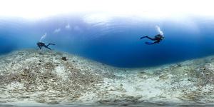 Caribbean reefs today - lots of coral deadzone, Bonaire, 2013.  - If we stop killing parrotfish we can bring back Caribbean coral reefs photo copyright Catlin Seaview Survey taken at  and featuring the  class