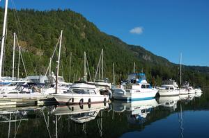 A tranquil morning on the docks, with Mt. Tzuhalem in the background. photo copyright Deane Hislop taken at  and featuring the  class