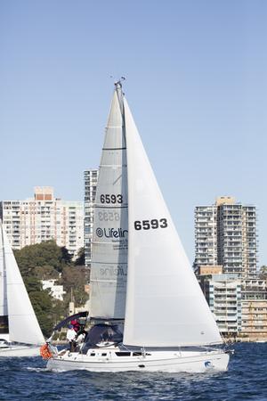LuLu Belle won Division K overall despite finishing fifth in today's race.  - Land Rover Winter Series 2014 photo copyright David Brogan www.sailpix.com.au taken at  and featuring the  class