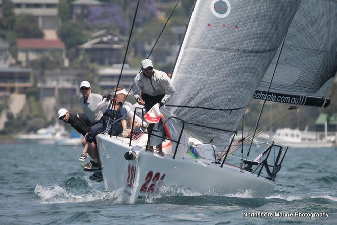 Pusser’s Rum Melges East Coast Championships 2014. ©  Northshore Marine Photography
