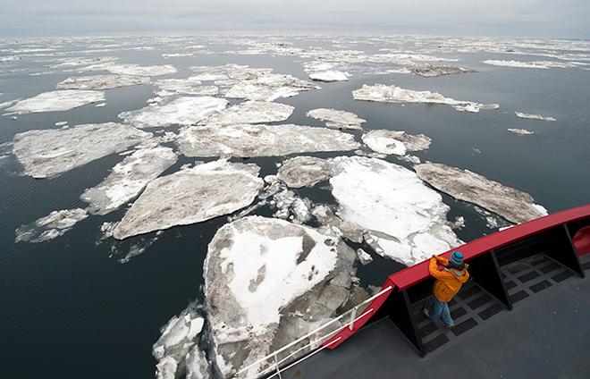 Polar regions are showing greater effects from climate change than any other regions on Earth. One of the biggest impacts is the reduction in sea ice—thinner ice is covering a smaller area for a shorter time each year. The loss of ice threatens organisms whose lifestyles depend on it, ranging from algae at the bottom of the food chain to polar bears at the top. © Chris Linder, WHOI