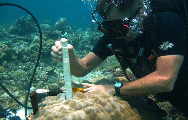 WHOI diver Pat Lohmann extracts a cylinder of coral skeleton. The coring does not harm the coral and the sample is later analyzed back in laboratories on shore. © Anne Cohen, Woods Hole Oceanographic Institution