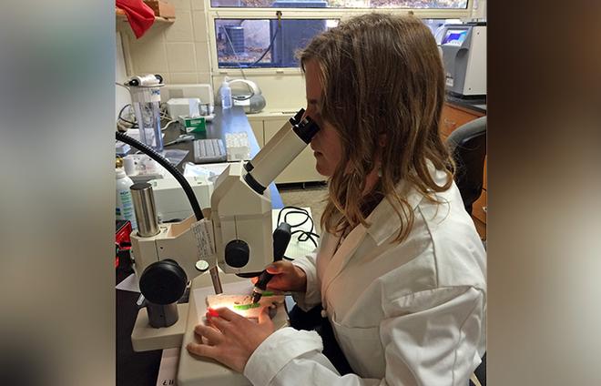 Back in the lab at WHOI, graduate student Alice Alpert, the author of this article, takes samples of coral from Jarvis Island for chemical analysis.  © Hannah Barkley, WHOI