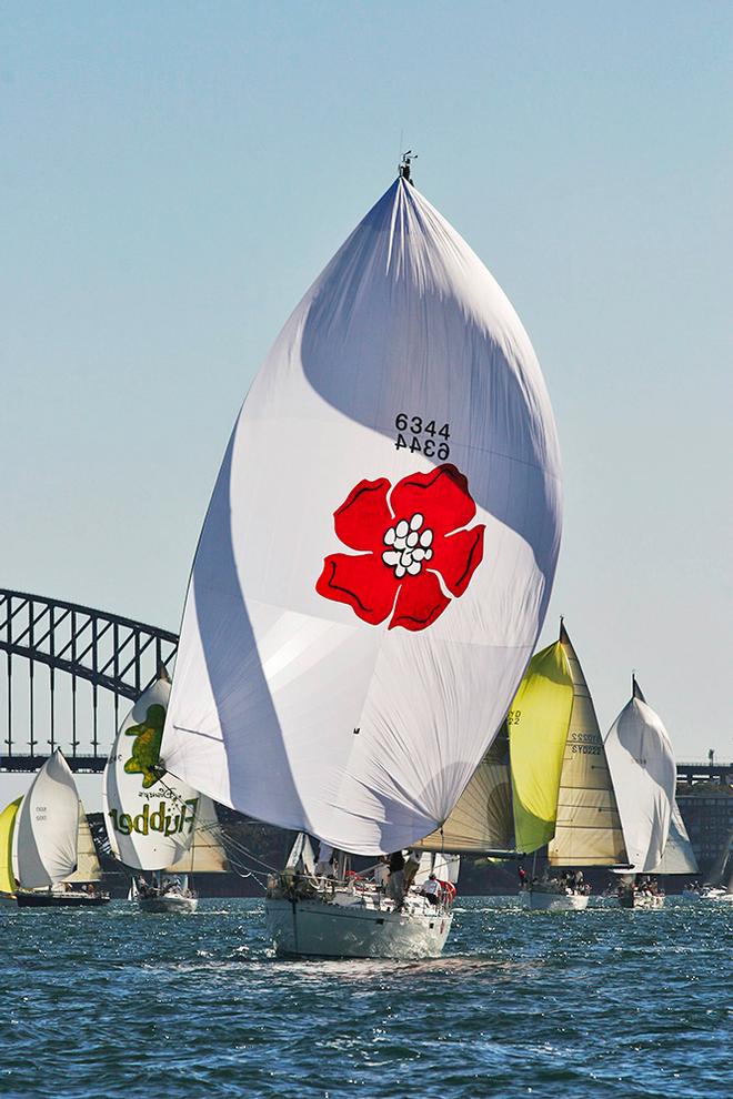 Poppy racing on Sydney Harbour in 2011 ©  Andrea Francolini Photography http://www.afrancolini.com/