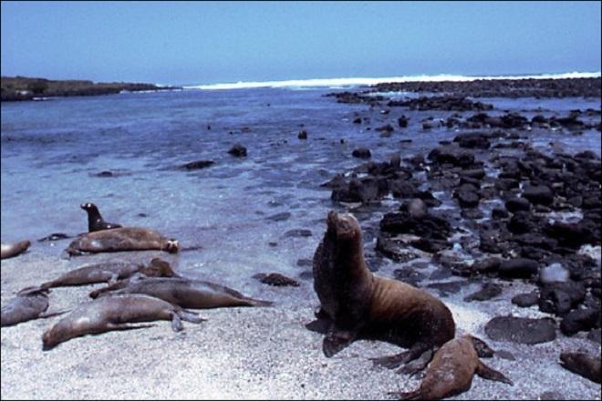 Galapagos - Blue Planet Odyssey © Cornell Sailing Events