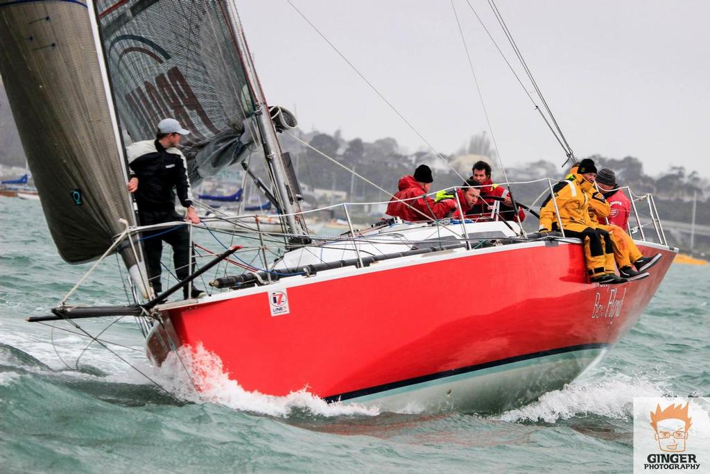  - RNZYS Winter Series, August 30, 2014 © Ginger Photography https://www.facebook.com/gingermarinephotography