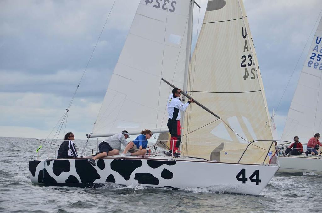 2014 J/24 U.S. National Championship - Day 1 photo copyright Chris Howell taken at  and featuring the  class
