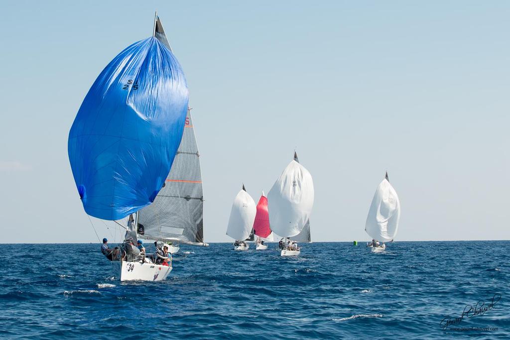 Platu 25 Worlds 2014 in Antibes, France. © Gérard Chauvel