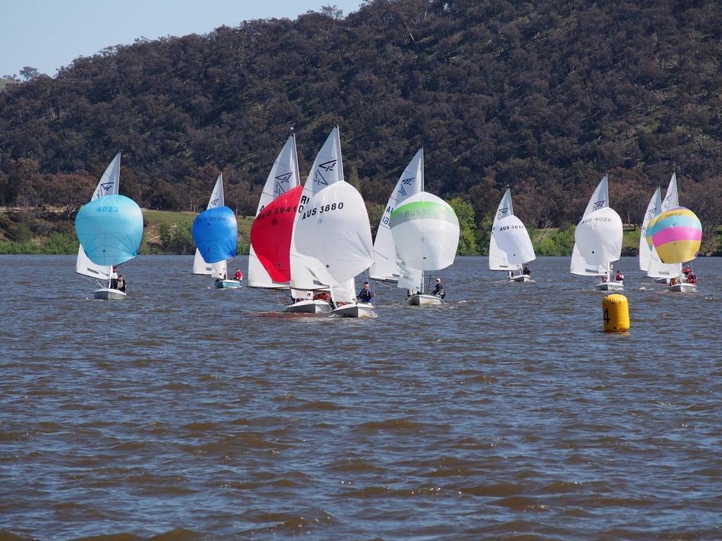 46th ACT Flying Fifteen International Championship © Matt Gleeson