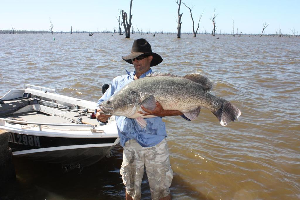 Chas Bunting 119cm Murray Cod - Murray Cod Classic photo copyright Tony Bennett taken at  and featuring the  class