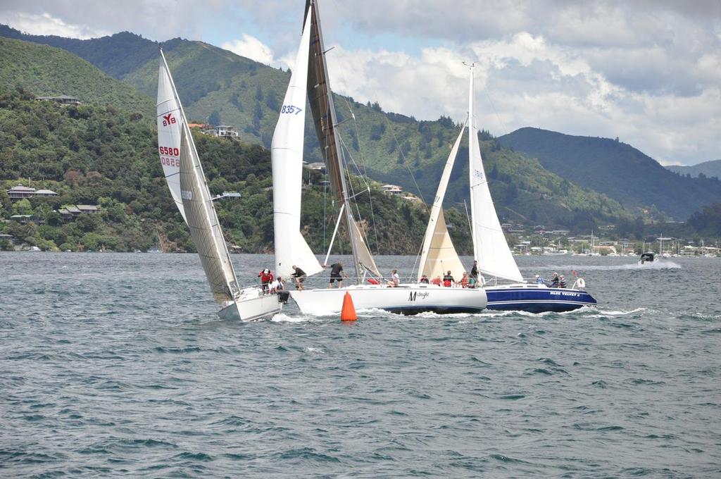 Close and exciting racing - Day 3 Race 1 Lawson's Dry Hills Regatta 2014 - Lawson's Dry Hills New Year Regatta Waikawa Boating Club © Tom van der Burgh