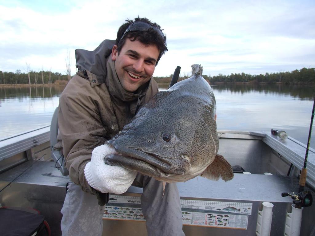 Craig Barber 116cm Murray Cod - Murray Cod Classic photo copyright Tony Bennett taken at  and featuring the  class