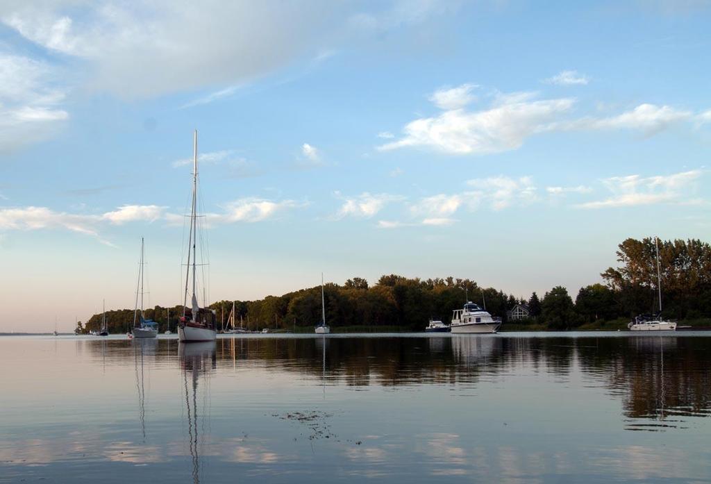 Entrance to Prinyer's Cove in the evening. © David Platt